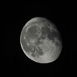 Meet your Posher, Donald